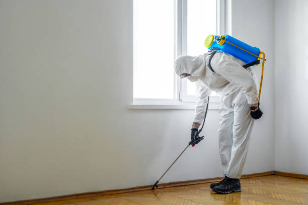 Best Residential Pest Control  in Sac City, IA